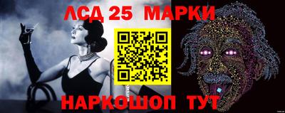 СК Краснодар