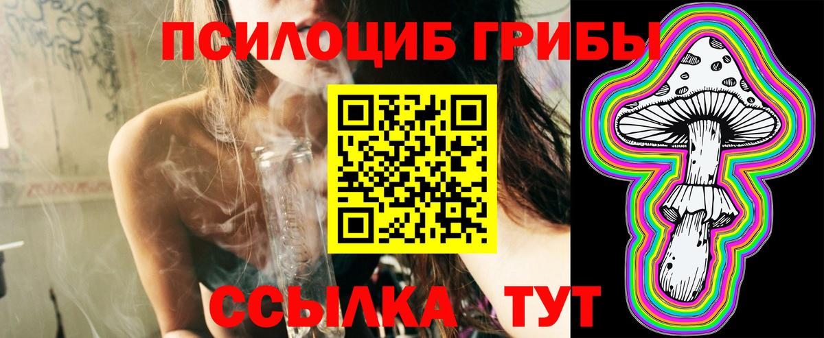 Псилоцибиновые грибы Psilocybine cubensis Елизово