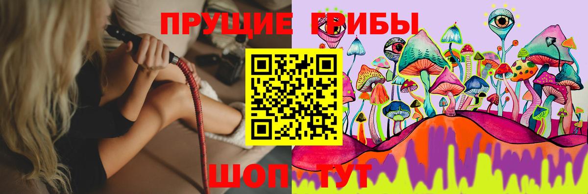 Галлюциногенные грибы прущие грибы  Вход с VPN  Елизово 
